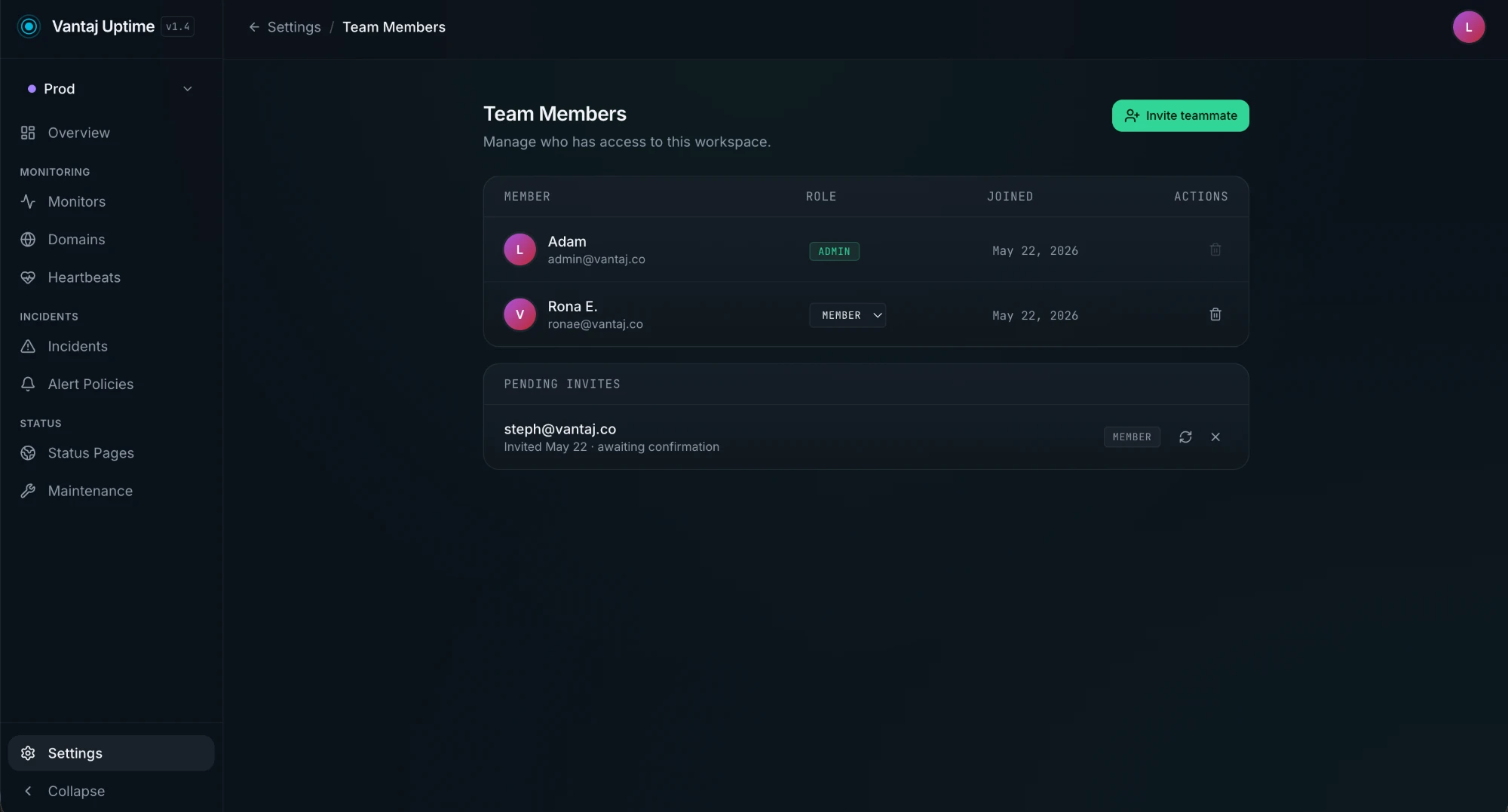 Team Members page showing members list and a pending invite